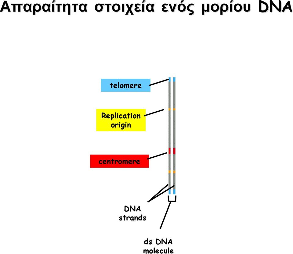 Replication origin