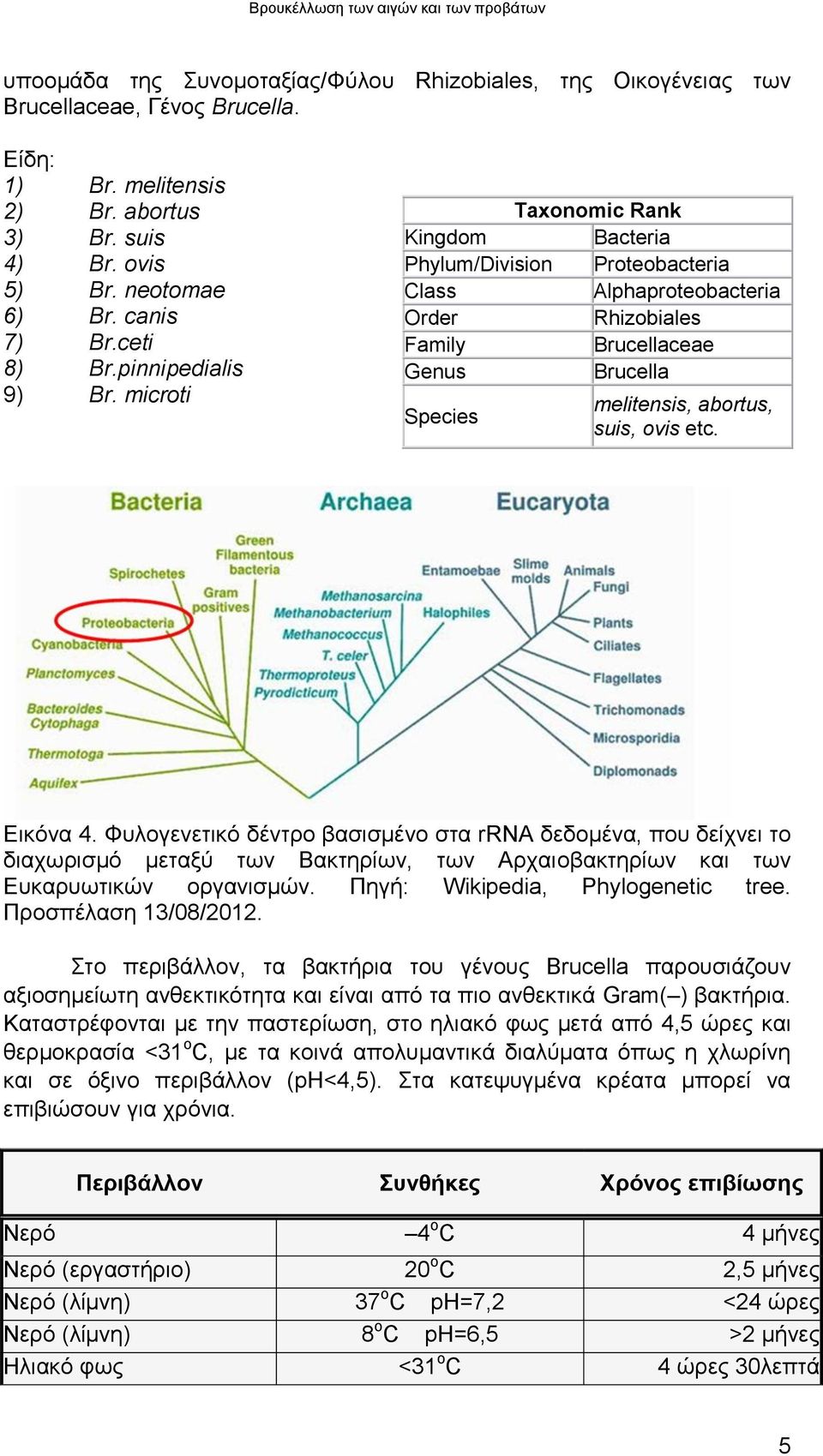 microti Taxonomic Rank Kingdom Bacteria Phylum/Division Proteobacteria Class Alphaproteobacteria Order Rhizobiales Family Brucellaceae Genus Brucella Species melitensis, abortus, suis, ovis etc.
