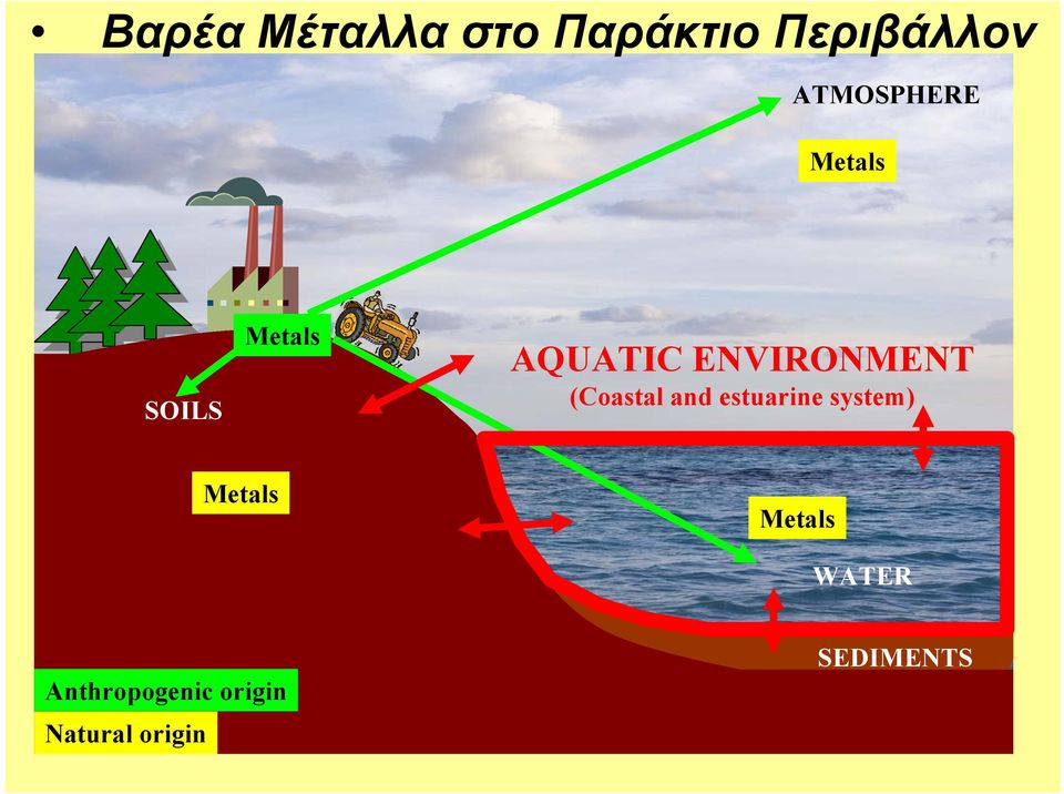 ENVIRONMENT (Coastal and estuarine system)