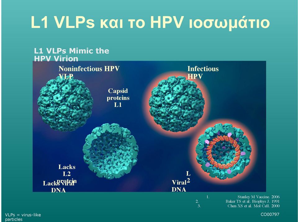 Lacks L2 Lacks protein viral DNA L Viral2 DNA 1. Stanley M Vaccine.