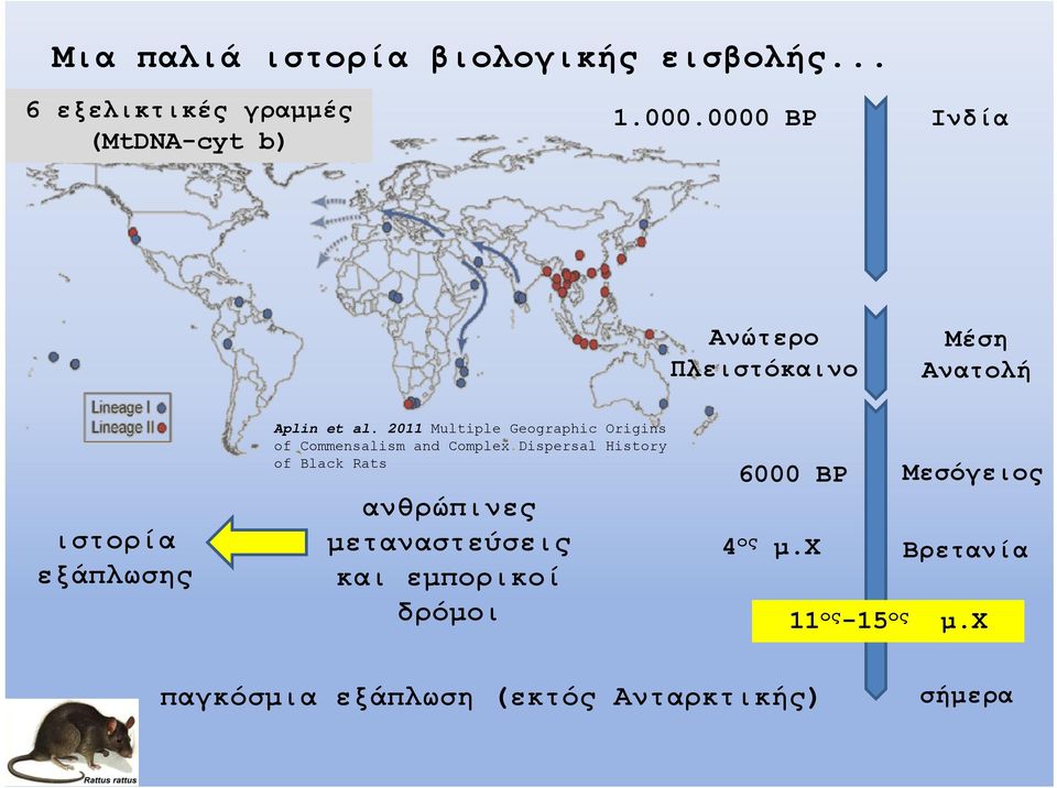 2011 Multiple Geographic Origins of Commensalism and Complex Dispersal History of Black Rats 6000 BP