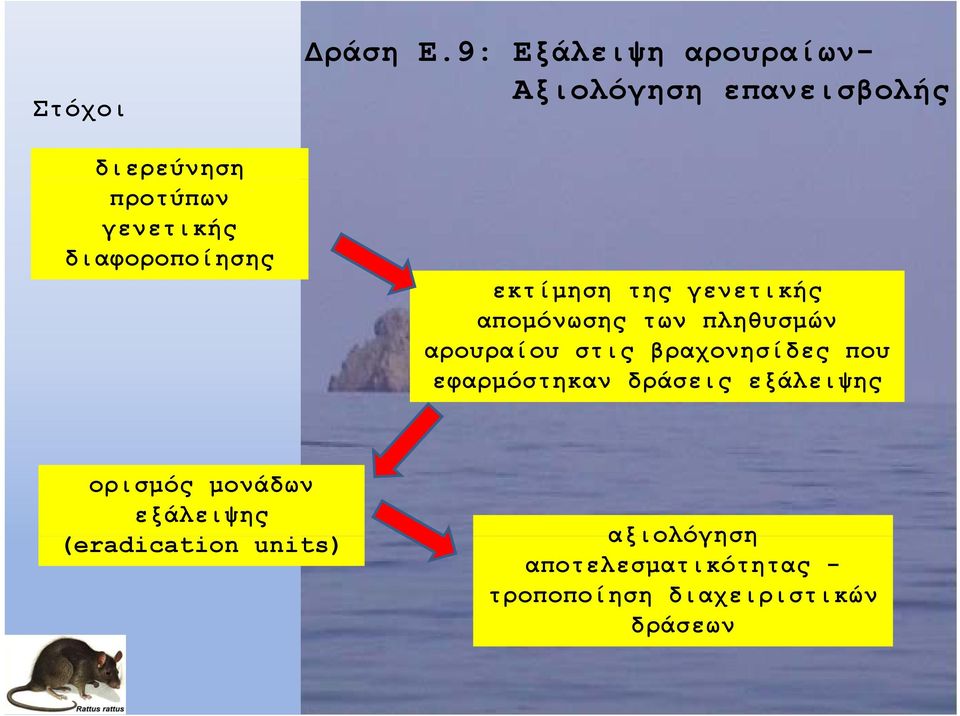 των πληθυσμών αρουραίου στις βραχονησίδες που εφαρμόστηκαν δράσεις εξάλειψης