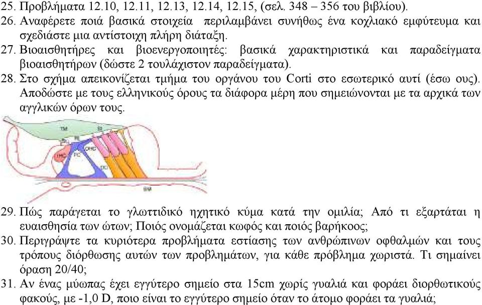 Στο σχήµα απεικονίζεται τµήµα του οργάνου του Corti στο εσωτερικό αυτί (έσω ους). Αποδώστε µε τους ελληνικούς όρους τα διάφορα µέρη που σηµειώνονται µε τα αρχικά των αγγλικών όρων τους. 29.