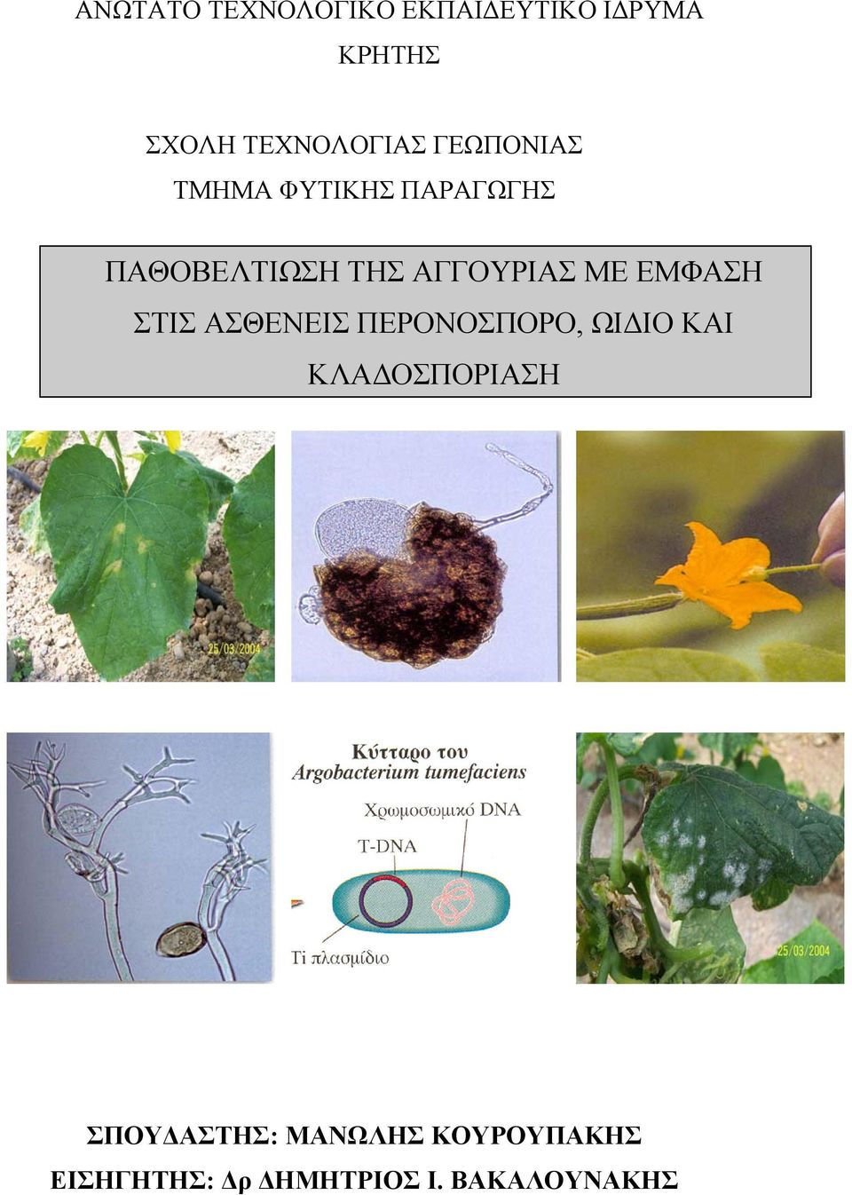 ΑΓΓΟΥΡΙΑΣ ΜΕ ΕΜΦΑΣΗ ΣΤΙΣ ΑΣΘΕΝΕΙΣ ΠΕΡΟΝΟΣΠΟΡΟ, ΩΙ ΙΟ ΚΑΙ ΚΛΑ