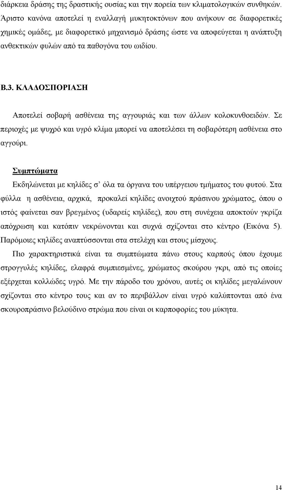 Β.3. ΚΛΑ ΟΣΠΟΡΙΑΣΗ Αποτελεί σοβαρή ασθένεια της αγγουριάς και των άλλων κολοκυνθοειδών. Σε περιοχές µε ψυχρό και υγρό κλίµα µπορεί να αποτελέσει τη σοβαρότερη ασθένεια στο αγγούρι.
