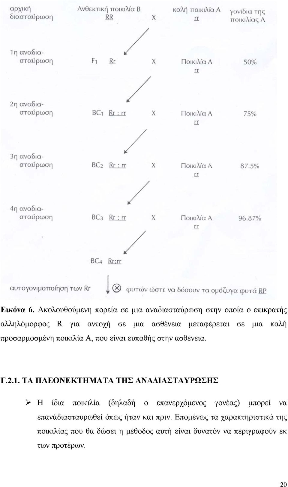 µεταφέρεται σε µια καλή προσαρµοσµένη ποικιλία Α, που είναι ευπαθής στην ασθένεια. Γ.2.1.