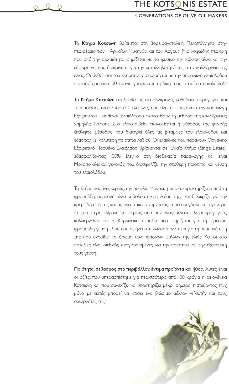 Οι άνθρωποι του Κτήµατος ασχολούνται µε την παραγωγή ελαιόλαδου περισσότερο από 100 χρόνια, γράφοντας τη δική τους ιστορία στο καλό λάδι!