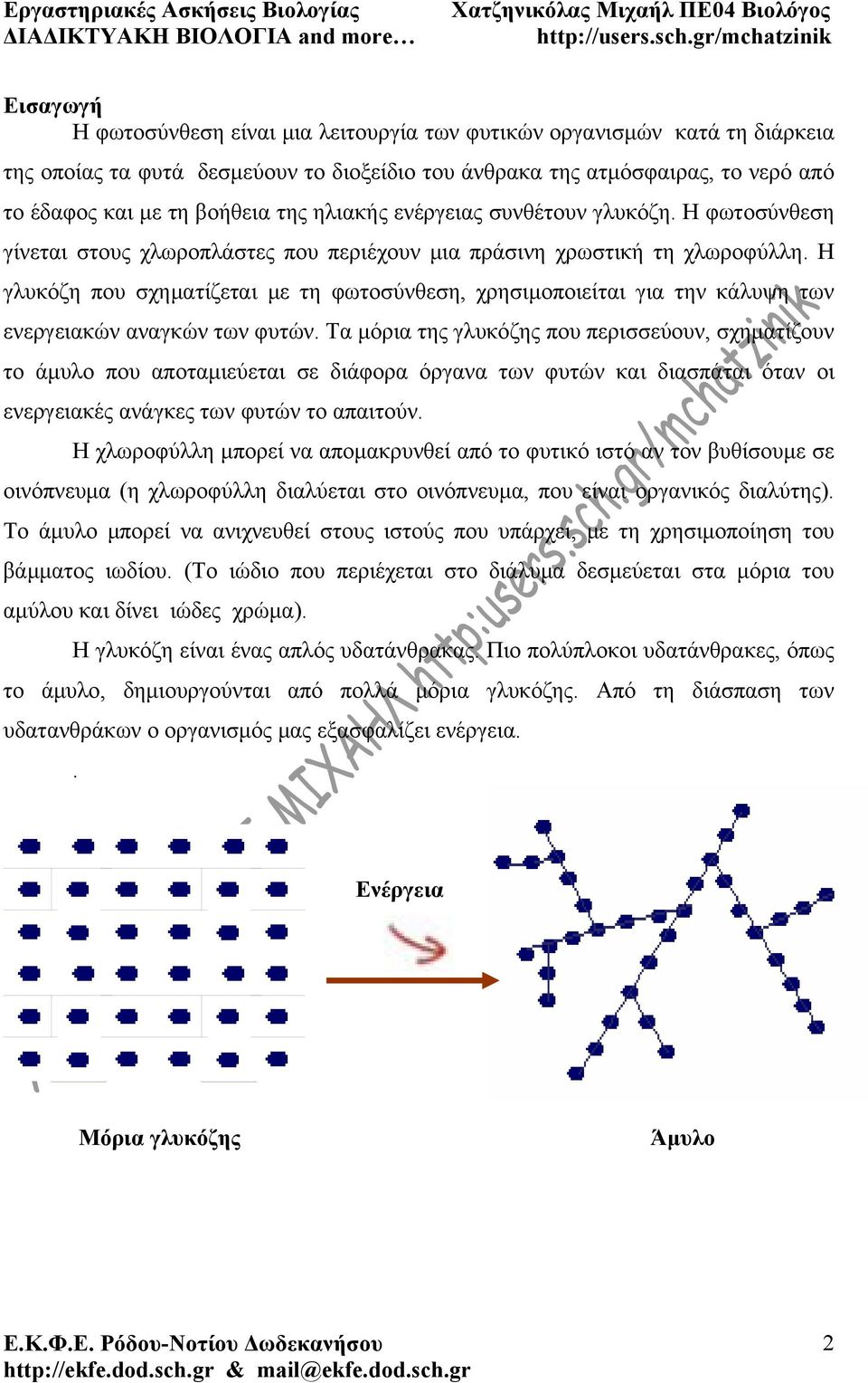 Η γλυκόζη που σχηματίζεται με τη φωτοσύνθεση, χρησιμοποιείται για την κάλυψη των ενεργειακών αναγκών των φυτών.