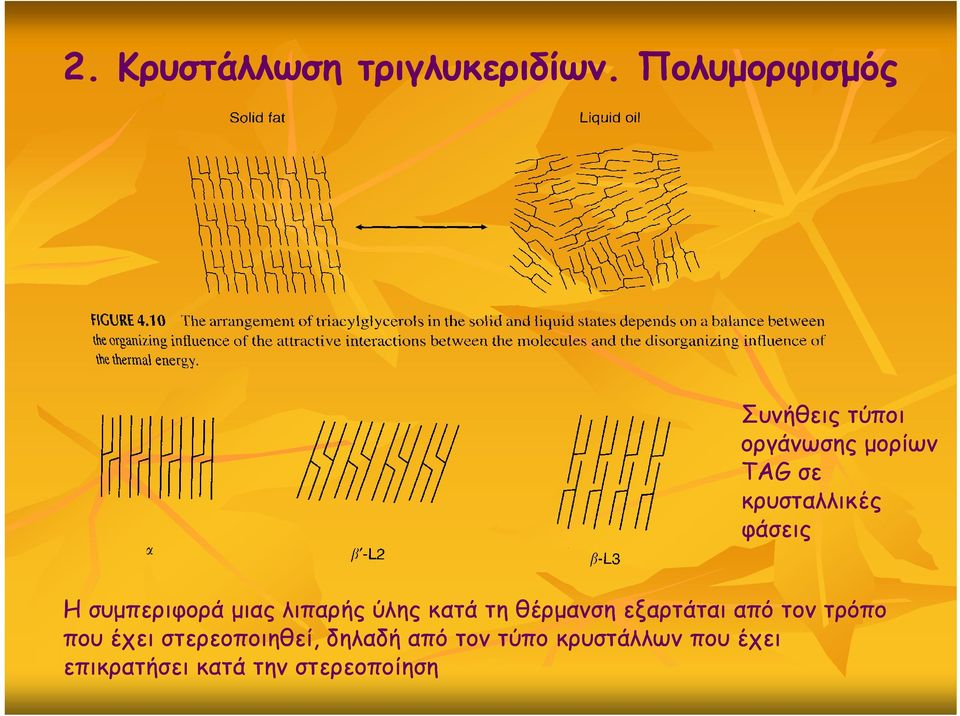 φάσεις Η συμπεριφορά μιας λιπαρής ύλης κατά τη θέρμανση εξαρτάται