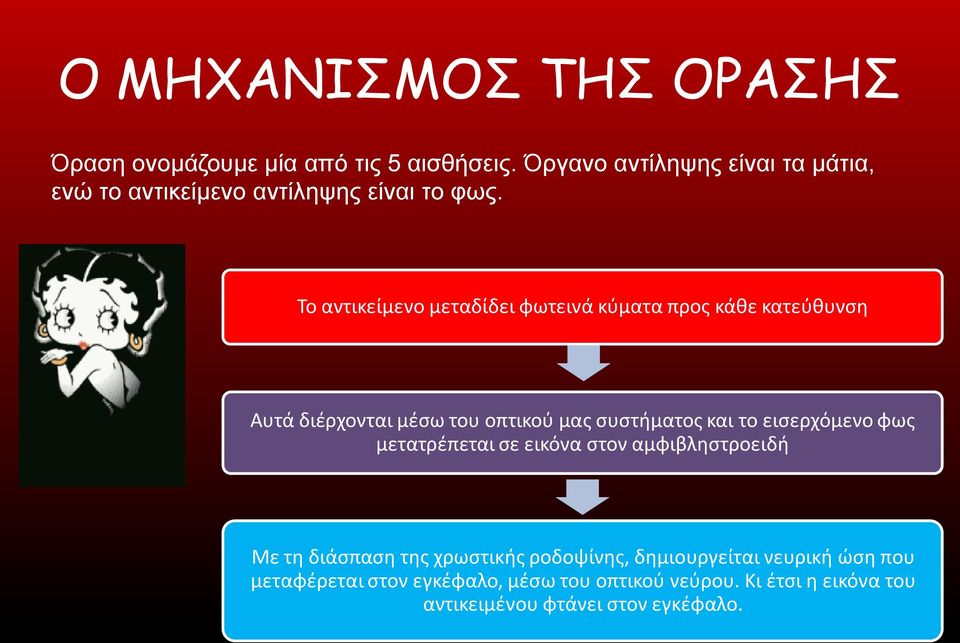 Το αντικείμενο μεταδίδει φωτεινά κύματα προς κάθε κατεύθυνση Αυτά διέρχονται μέσω του οπτικού μας συστήματος και το