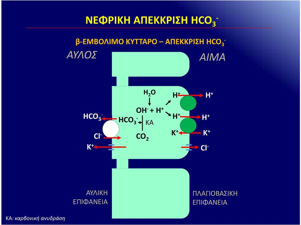 + H + HCO Η + Η + 3 ΚA Cl CO Κ + Κ + 2 Κ + Cl