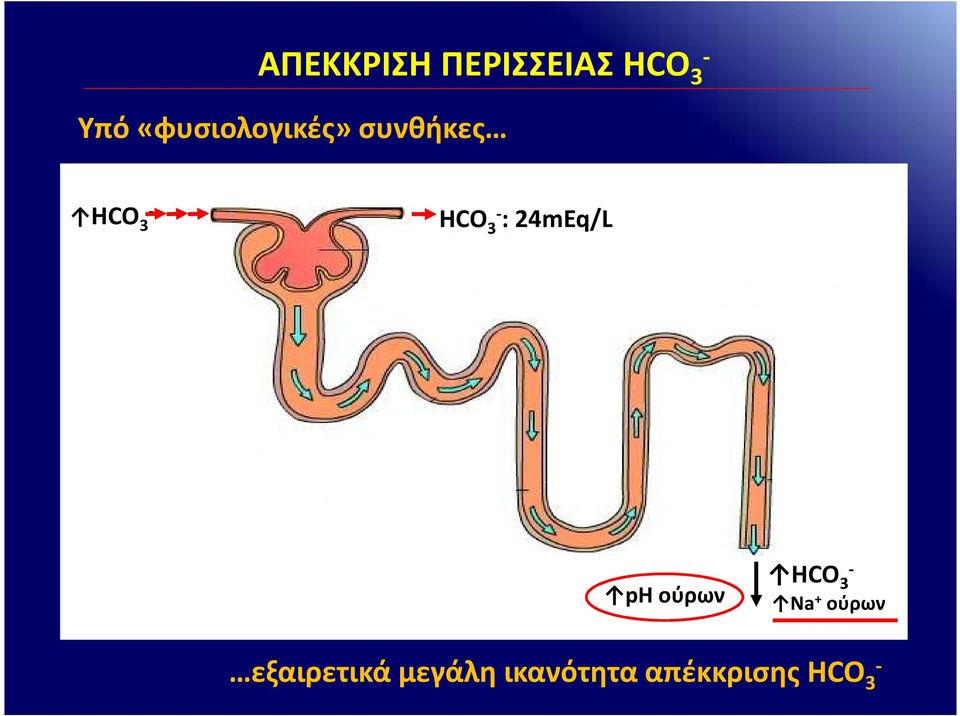 : 24mEq/L ph ούρων HCO 3 Na + ούρων