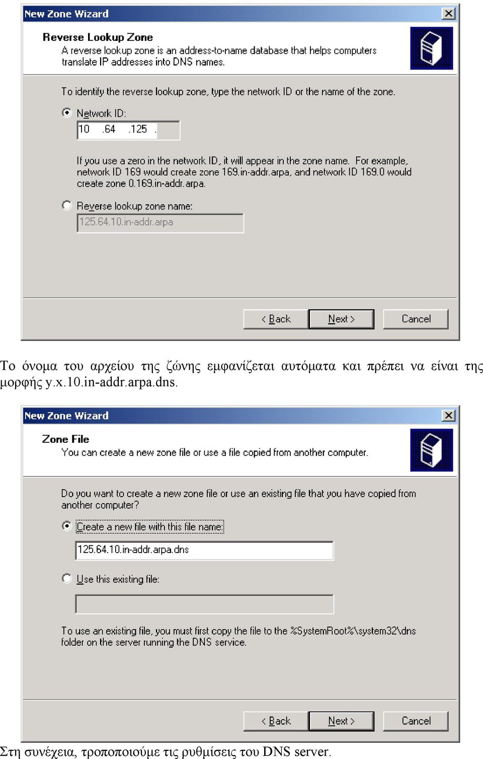 της μορφής y.x.10.in-addr.arpa.dns.