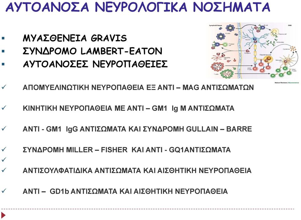 ΑΝΤΙΣΩΜΑΤΑ ΑΝΤΙ -GM1 IgG ΑΝΤΙΣΩΜΑΤΑ ΚΑΙ ΣΥΝ ΡΟΜΗ GULLAIN BARRE ΣΥΝ ΡΟΜΗ MILLER FISHER ΚΑΙ ΑΝΤΙ -