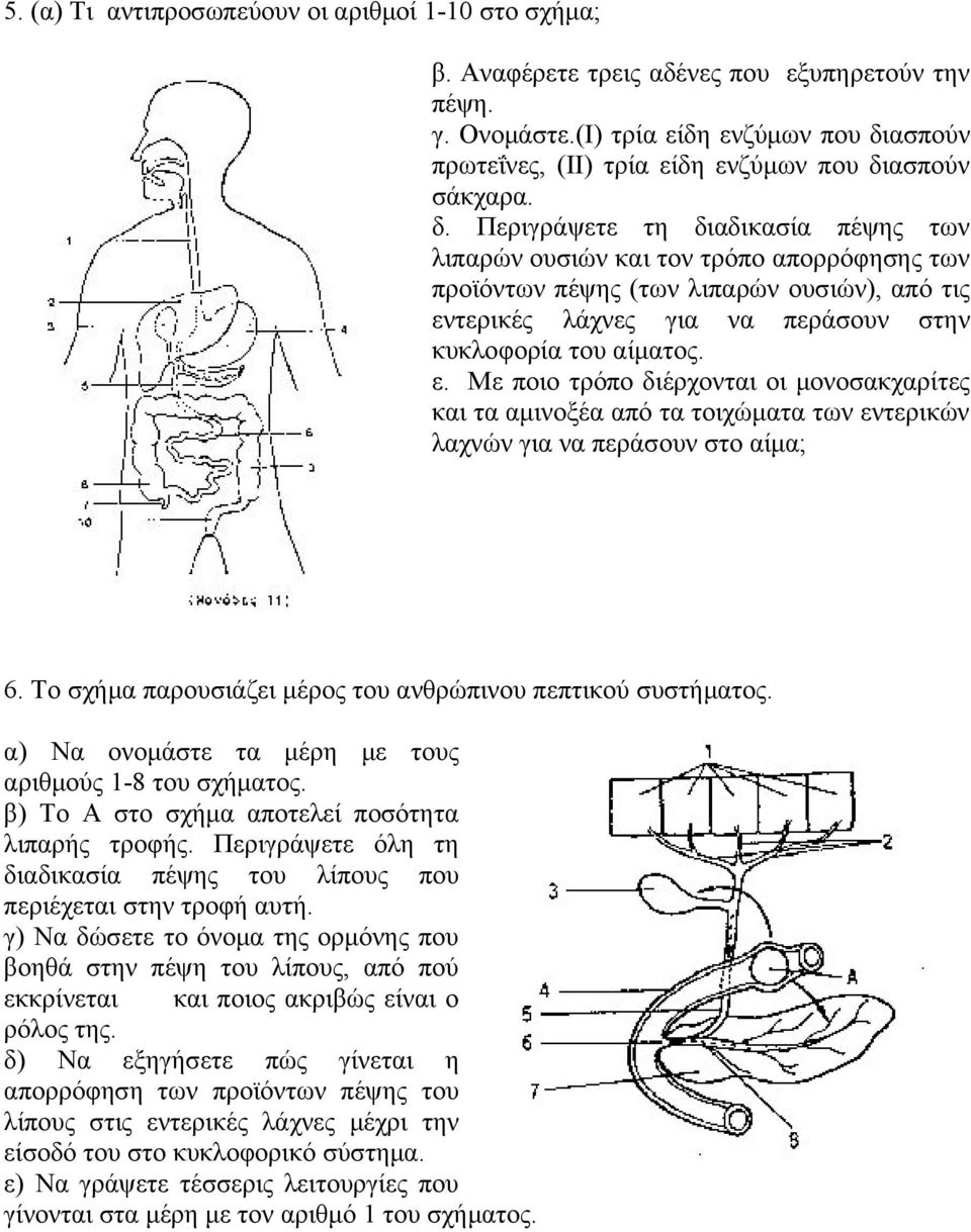 ασπούν πρωτεΐνες, (ΙΙ) τρία είδη ενζύμων που δι