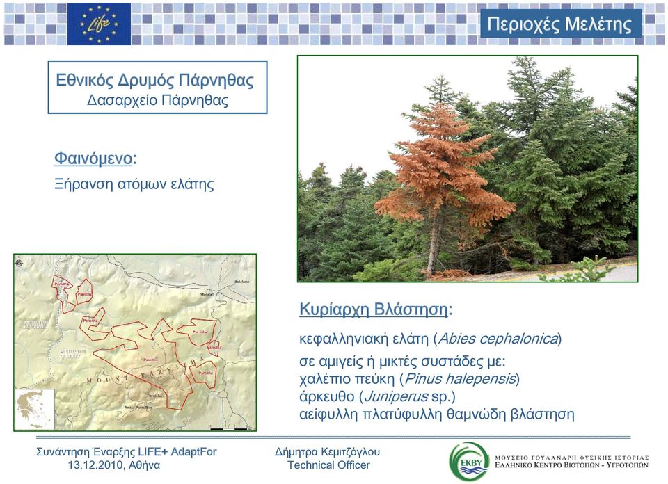 συστάδες με: χαλέπιο πεύκη (Pinus halepensis) άρκευθο (Juniperus sp.