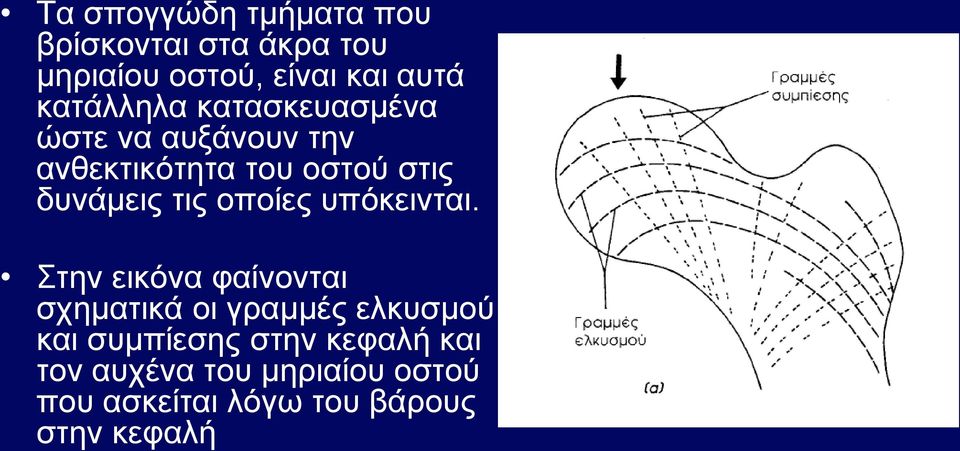 τις οποίες υπόκεινται.