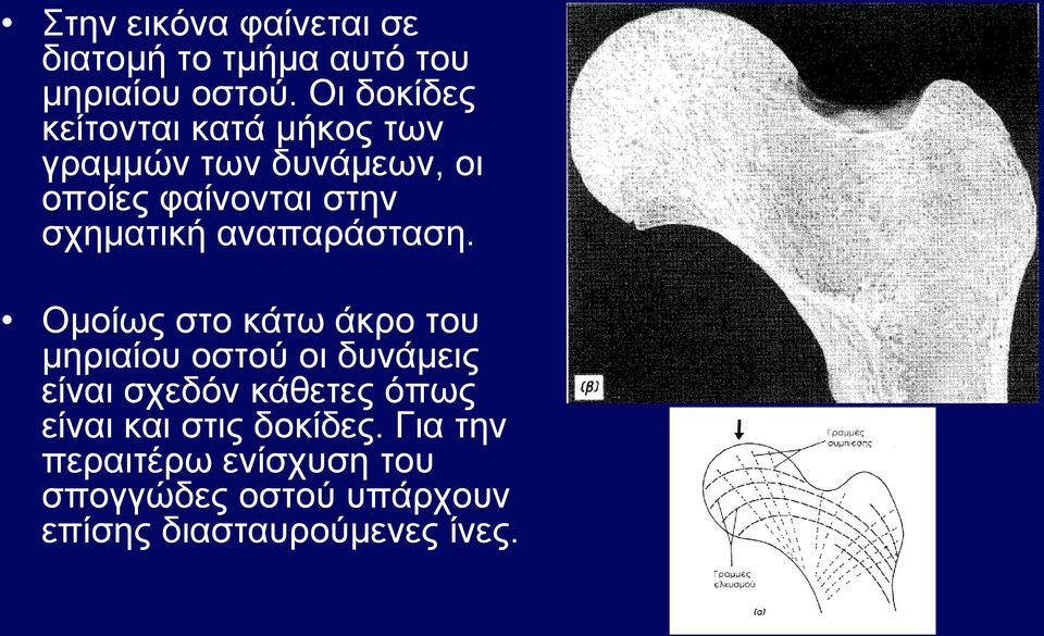 σχηματική αναπαράσταση.