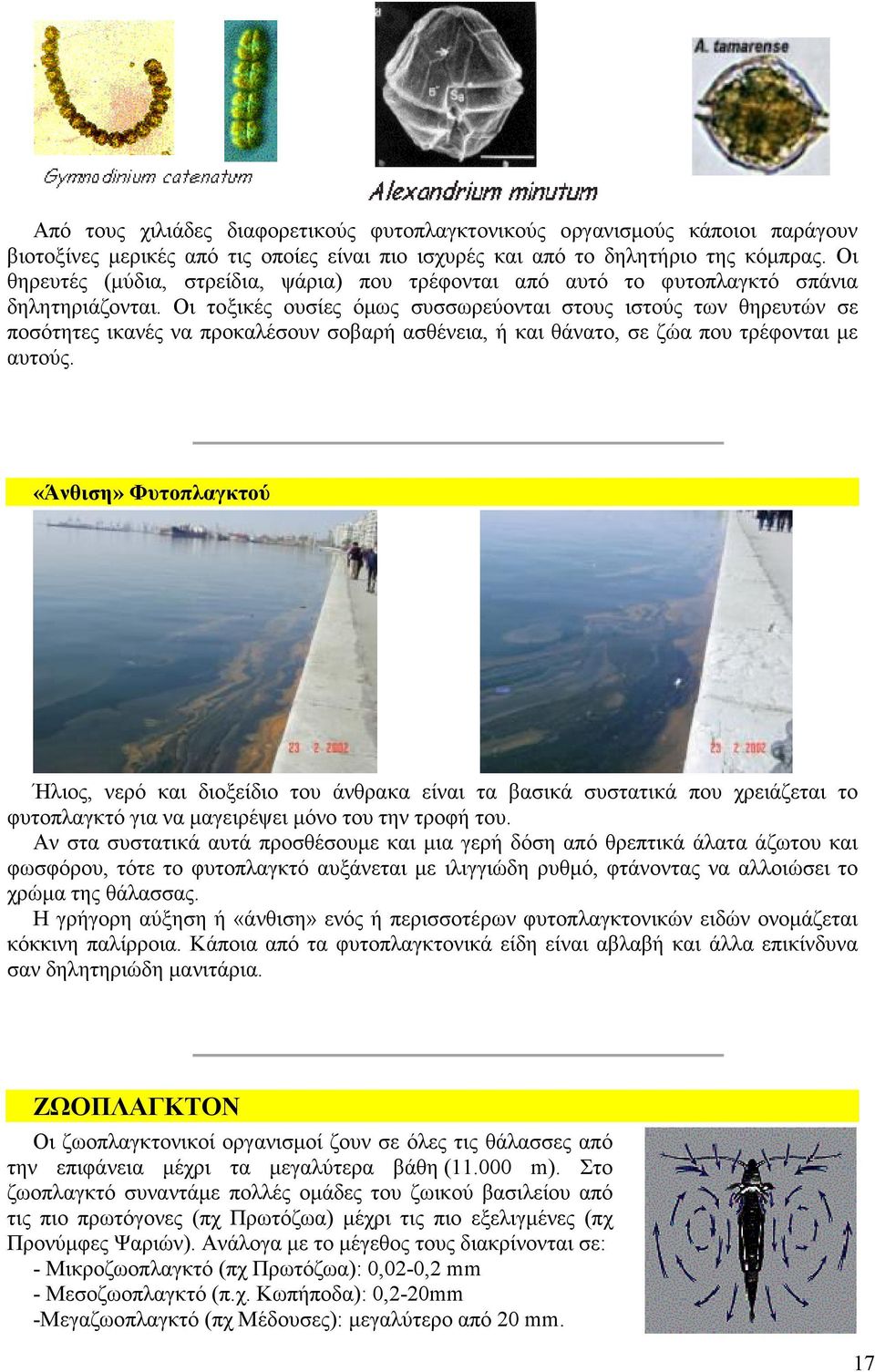 Οι τοξικές ουσίες όµως συσσωρεύονται στους ιστούς των θηρευτών σε ποσότητες ικανές να προκαλέσουν σοβαρή ασθένεια, ή και θάνατο, σε ζώα που τρέφονται µε αυτούς.