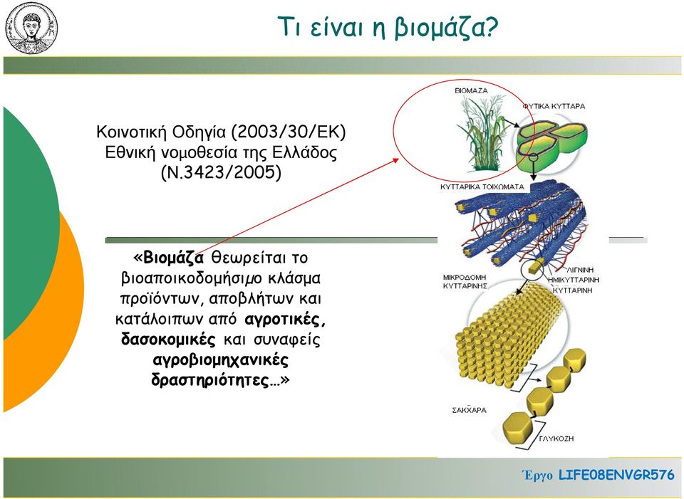 3423/2005) «Βιομάζα θεωρείται το βιοαποικοδομήσιµο κλάσμα