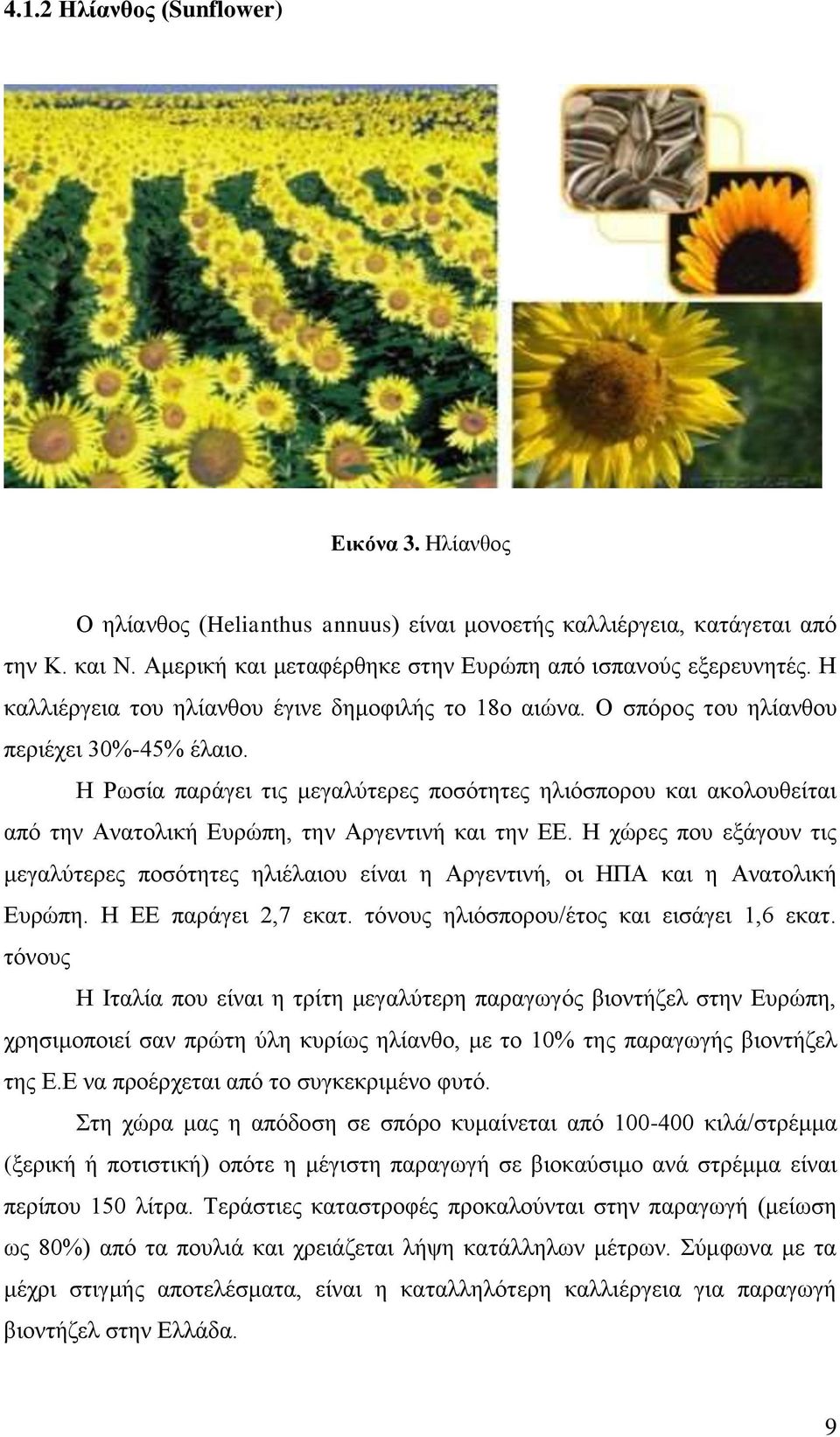Η Ρωσία παράγει τις μεγαλύτερες ποσότητες ηλιόσπορου και ακολουθείται από την Ανατολική Ευρώπη, την Αργεντινή και την ΕΕ.