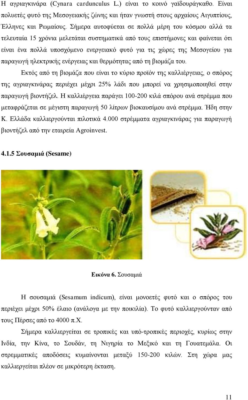 Μεσογείου για παραγωγή ηλεκτρικής ενέργειας και θερμότητας από τη βιομάζα του.