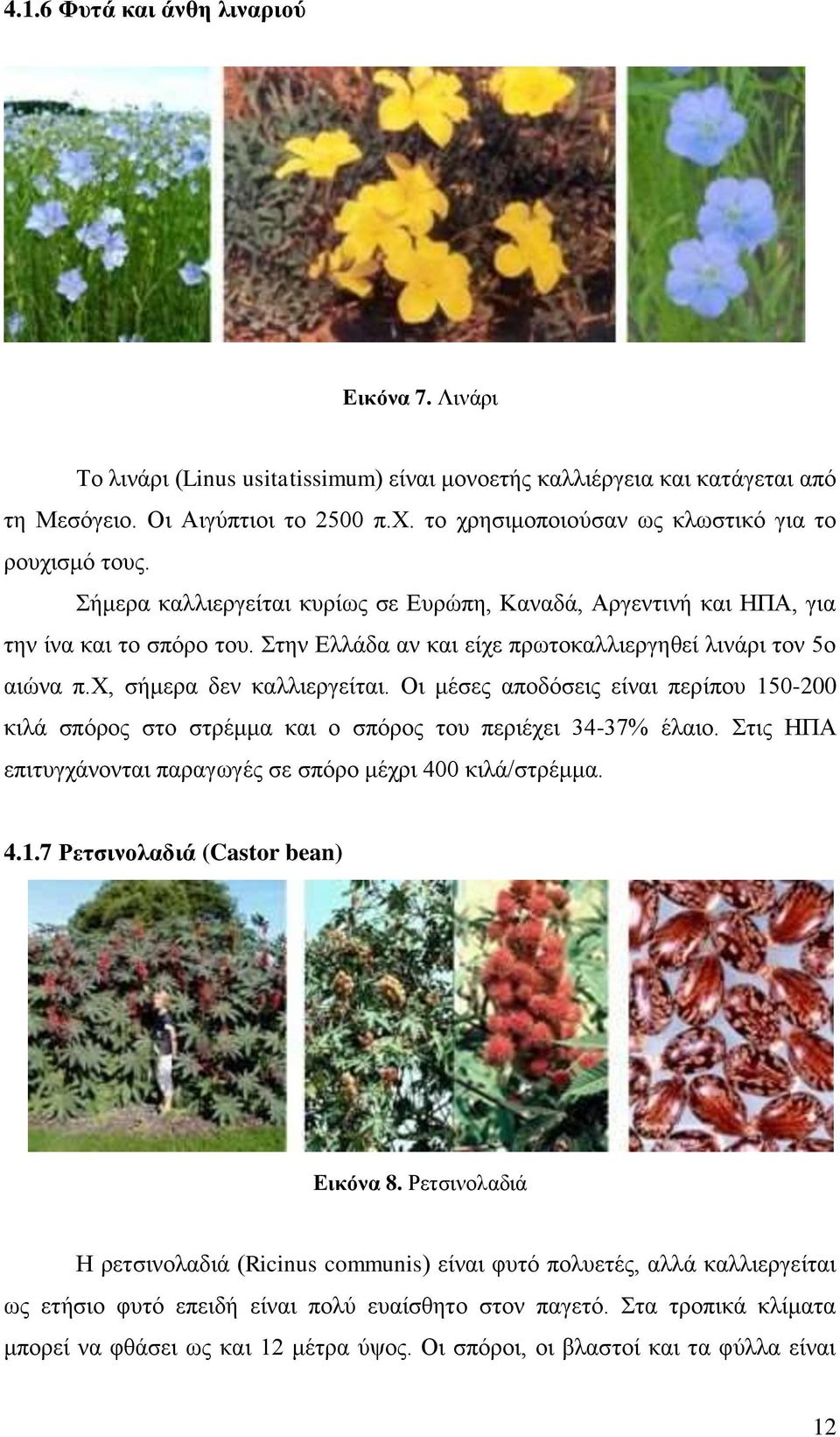 Στην Ελλάδα αν και είχε πρωτοκαλλιεργηθεί λινάρι τον 5ο αιώνα π.χ, σήμερα δεν καλλιεργείται. Οι μέσες αποδόσεις είναι περίπου 150-200 κιλά σπόρος στο στρέμμα και ο σπόρος του περιέχει 34-37% έλαιο.