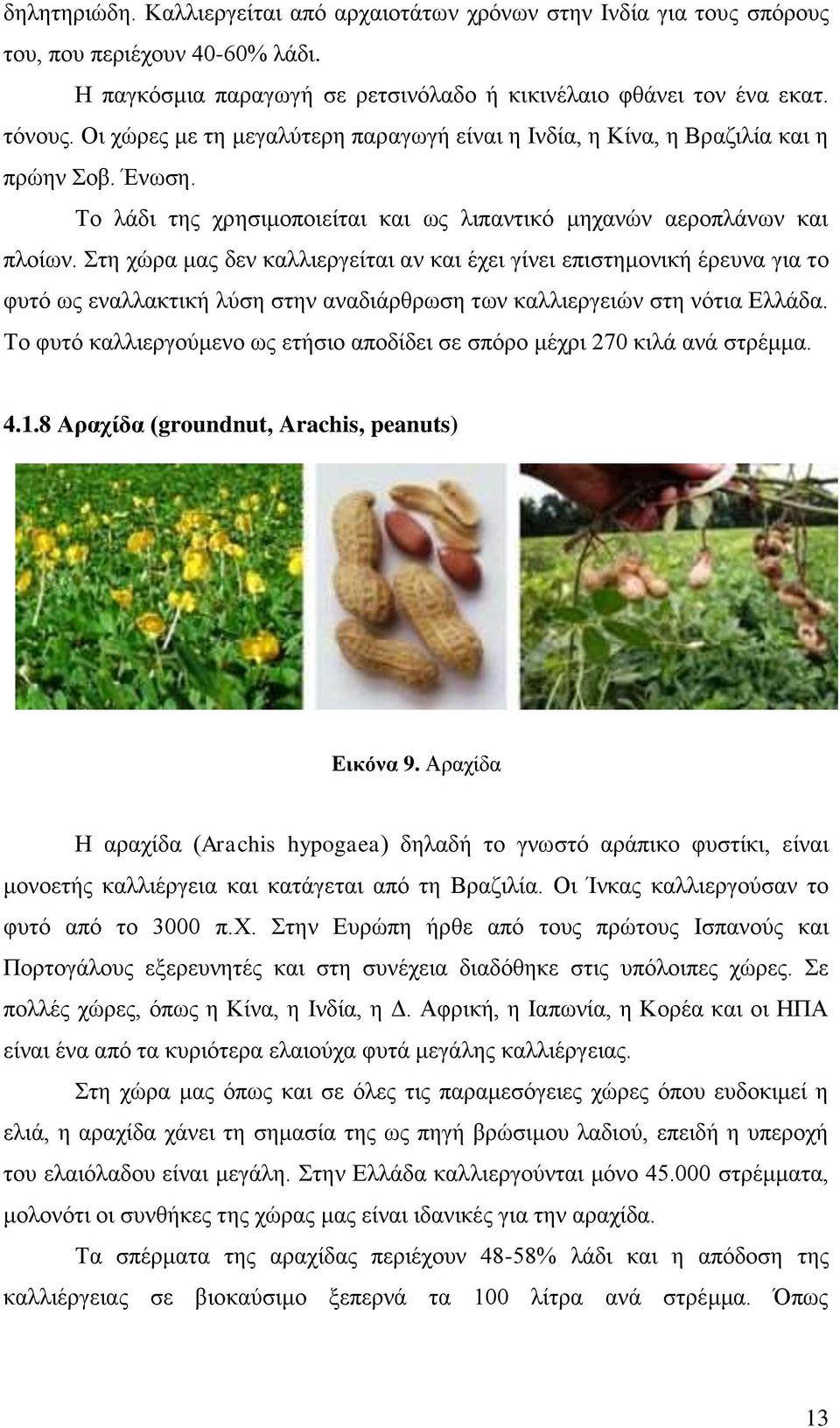 Στη χώρα μας δεν καλλιεργείται αν και έχει γίνει επιστημονική έρευνα για το φυτό ως εναλλακτική λύση στην αναδιάρθρωση των καλλιεργειών στη νότια Ελλάδα.