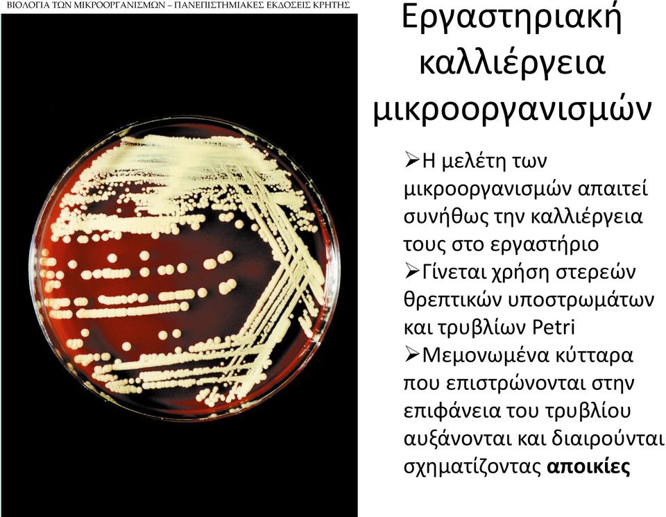 εργαστήριο Γίνεται χρήση στερεών θρεπτικών υποστρωμάτων και τρυβλίων Petri Μεμονωμένα
