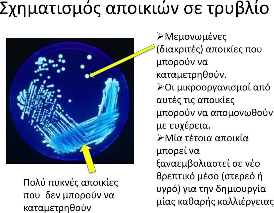 Οι μικροοργανισμοί από αυτές τις αποικίες μπορούν να απομονωθούν με ευχέρεια.