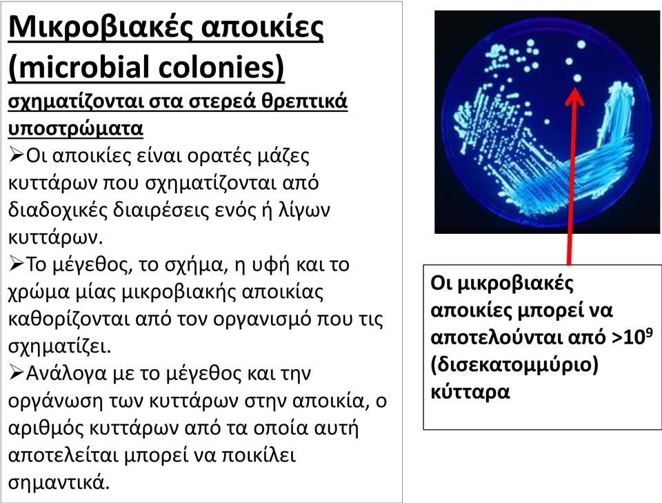 Το μέγεθος, το σχήμα, η υφή και το χρώμα μίας μικροβιακής αποικίας καθορίζονται από τον οργανισμό που τις σχηματίζει.