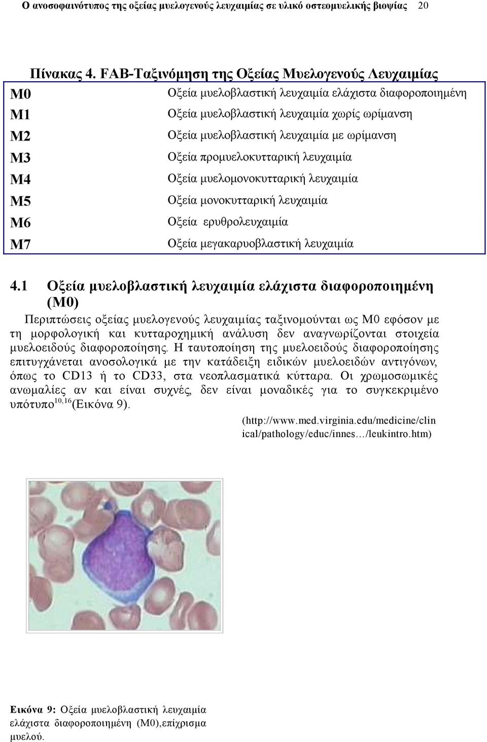 λευχαιμία με ωρίμανση Οξεία προμυελοκυτταρική λευχαιμία Οξεία μυελομονοκυτταρική λευχαιμία Οξεία μονοκυτταρική λευχαιμία Οξεία ερυθρολευχαιμία Οξεία μεγακαρυοβλαστική λευχαιμία 4.