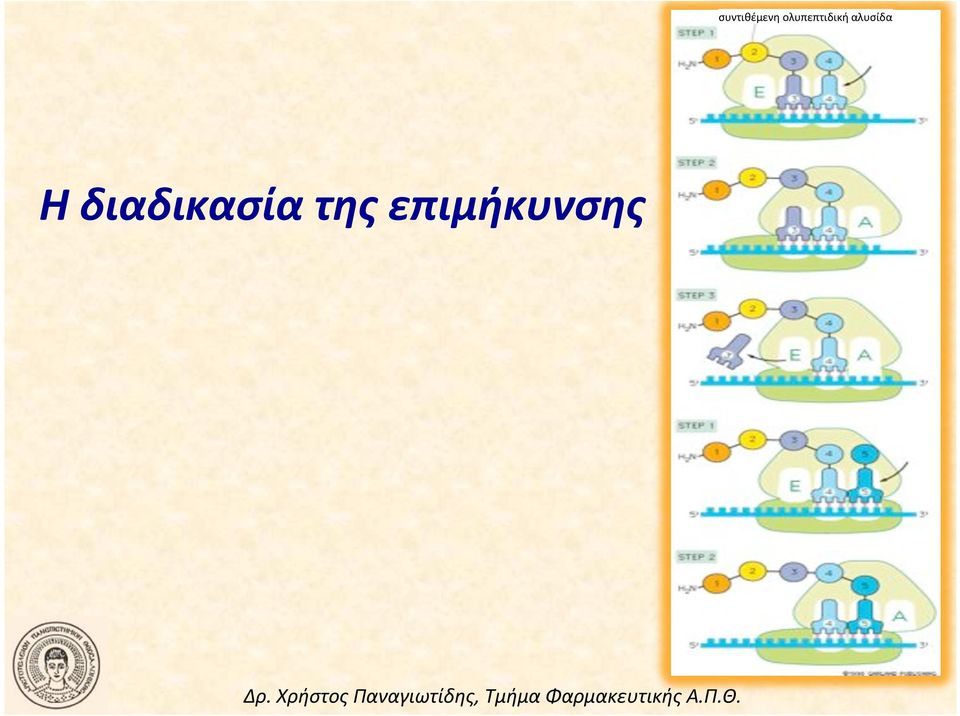 αλυσίδα!