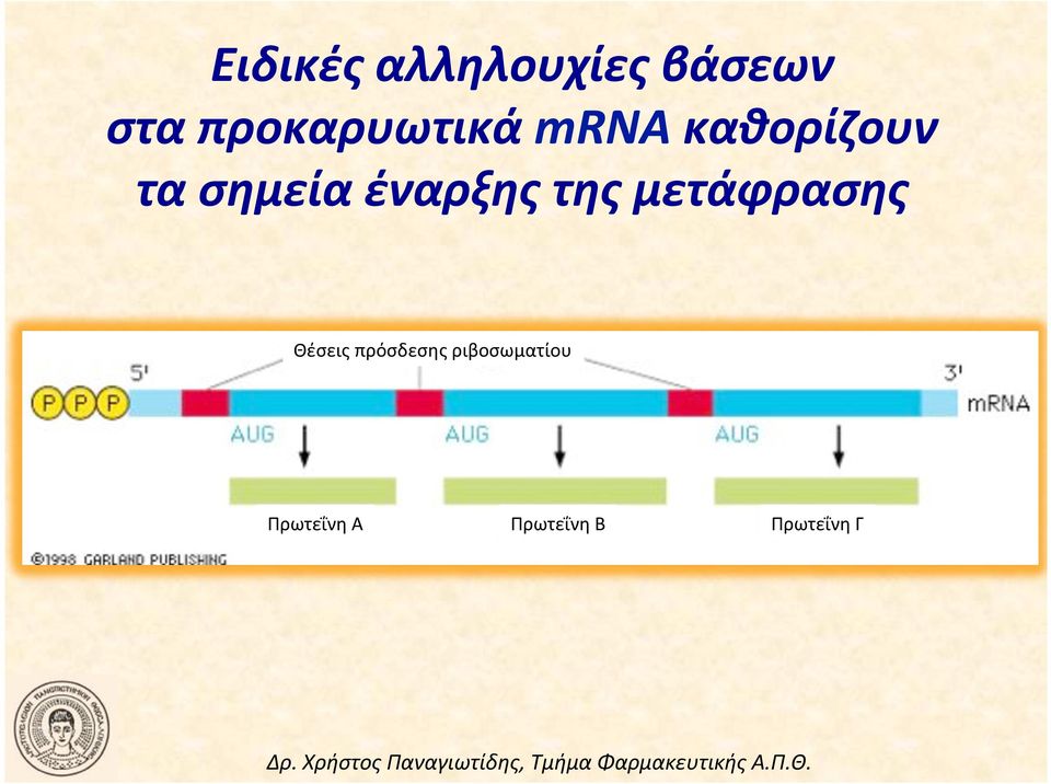 τα(σημεία(έναρξης(της(μετάφρασης( Θέσεις!