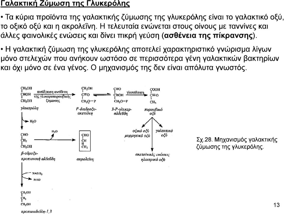 Η γαλακτική ζύµωση της γλυκερόλης αποτελεί χαρακτηριστικό γνώρισµα λίγων µόνο στελεχών που ανήκουν ωστόσο σε περισσότερα γένη