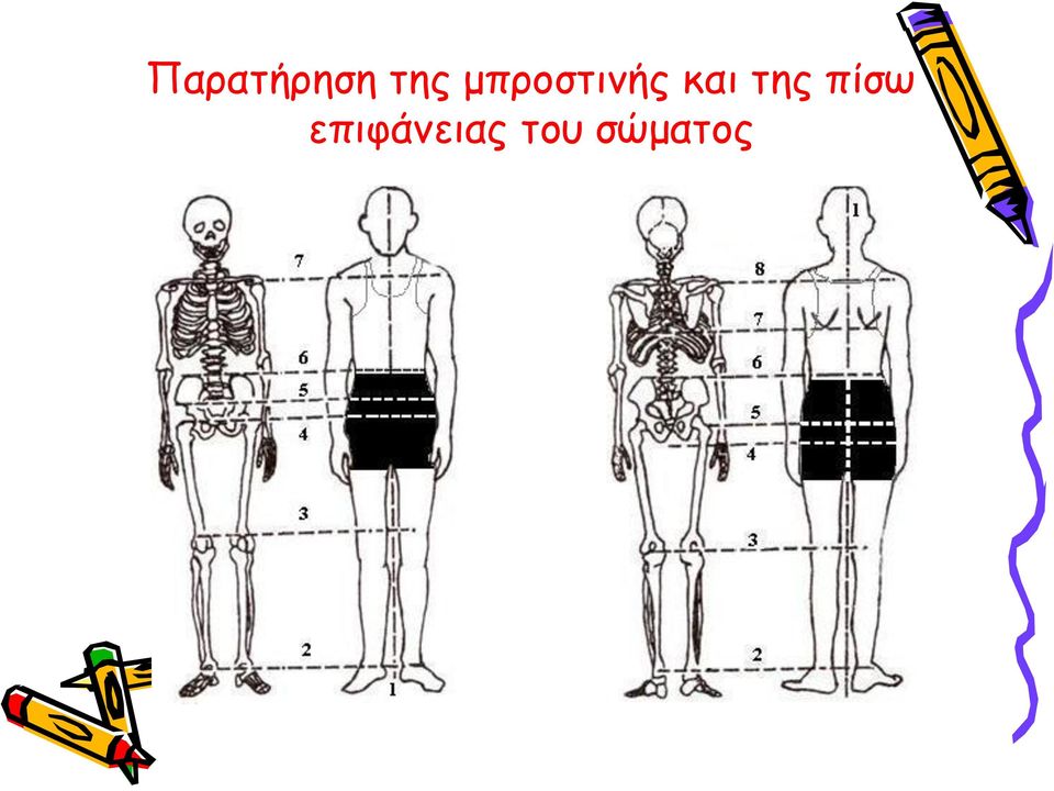 της πίσω
