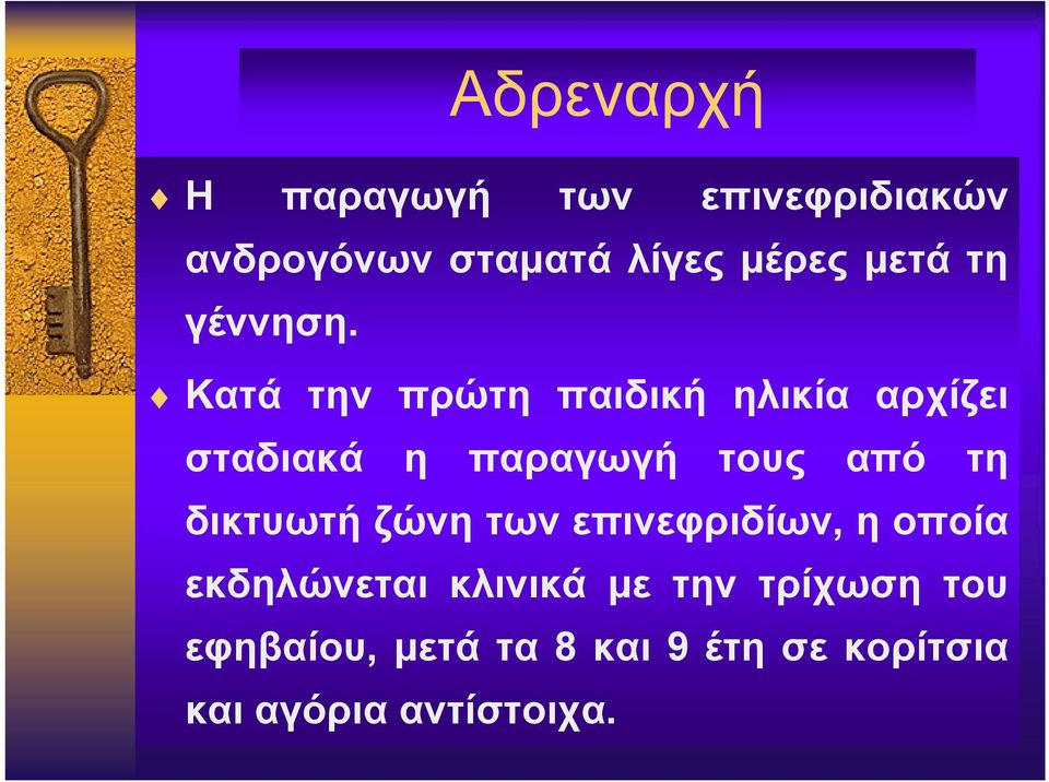 Κατά την πρώτη παιδική ηλικία αρχίζει σταδιακά η παραγωγή τους από τη