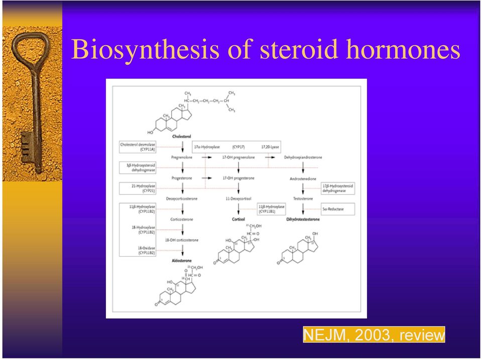 hormones