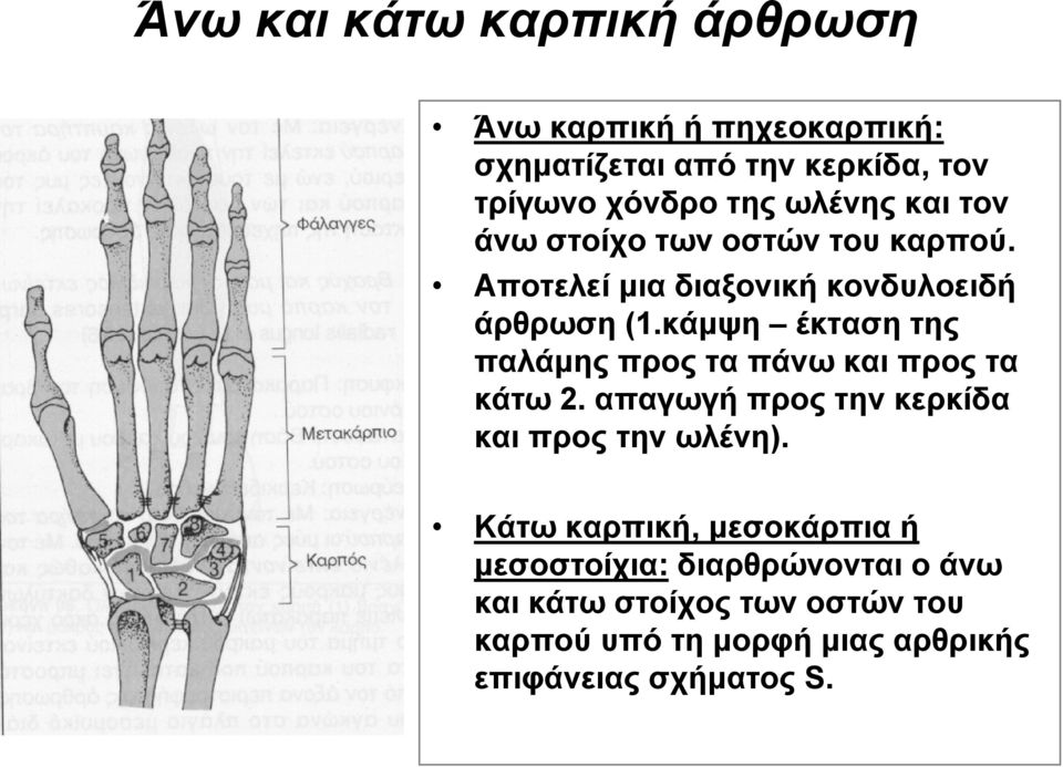 κάμψη έκταση της παλάμηςπροςταπάνωκαιπροςτα κάτω 2. απαγωγή προς την κερκίδα και προς την ωλένη).