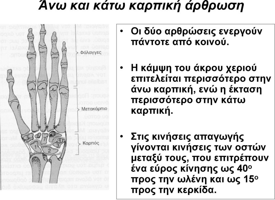 περισσότερο στην κάτω καρπική.