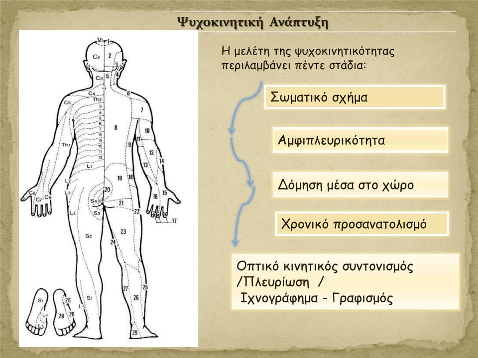 Αμφιπλευρικότητα Δόμηση μέσα στο χώρο Χρονικό