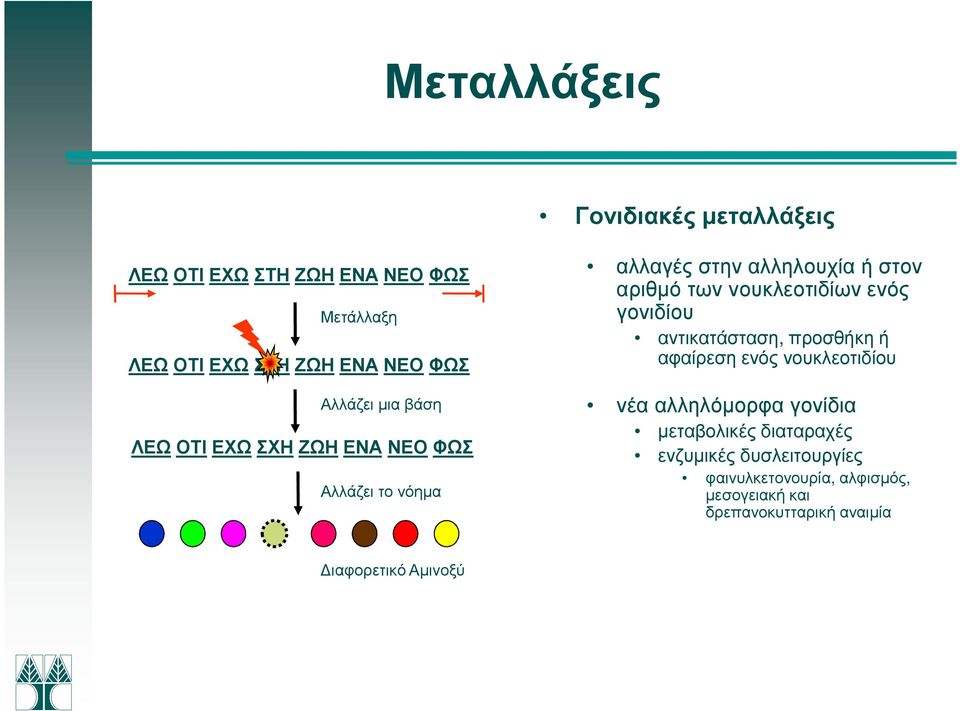 γονιδίου αντικατάσταση, προσθήκη ή αφαίρεση ενός νουκλεοτιδίου νέα αλληλόµορφα γονίδια µεταβολικές