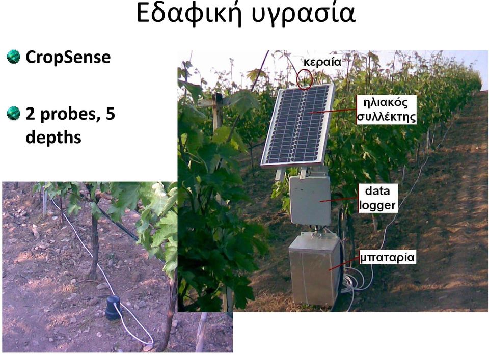 CropSense