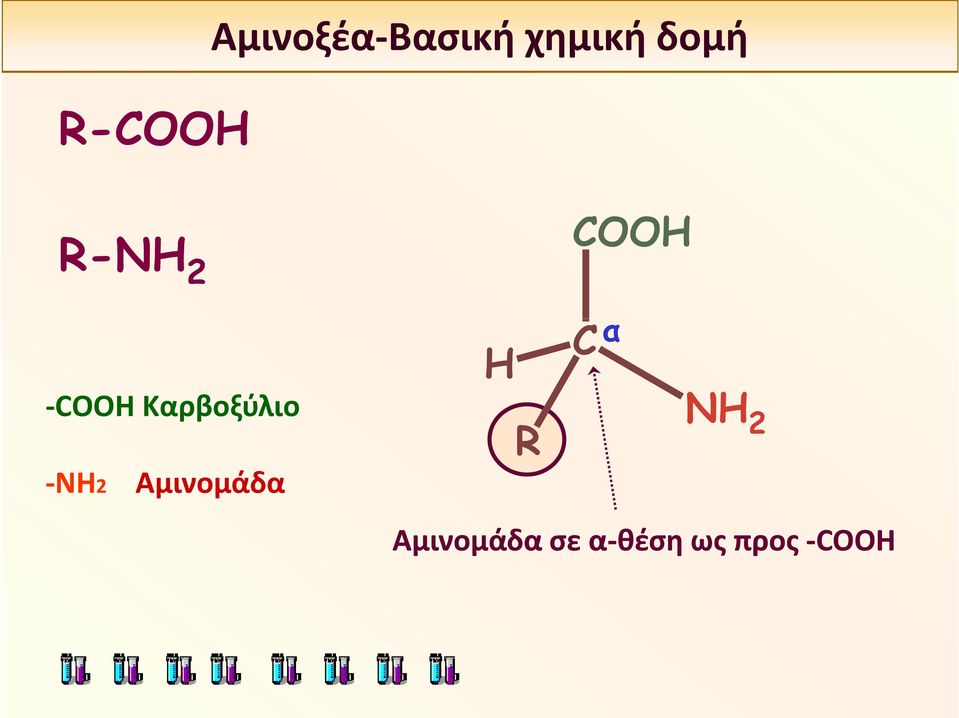 Καρβοξύλιο NH2 Αμινομάδα H R C