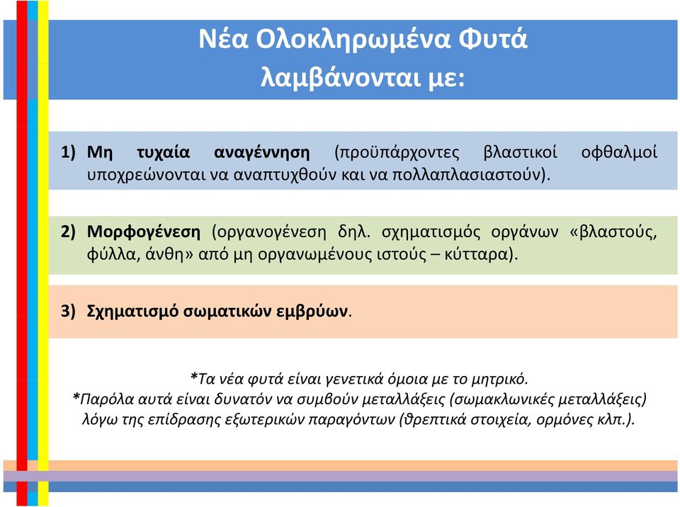 3) Σχηματισμό σωματικών εμβρύων. *Τανέαφυτάείναιγενετικάόμοιαμετομητρικό Τα νέα φυτά είναι γενετικά όμοια με το μητρικό.