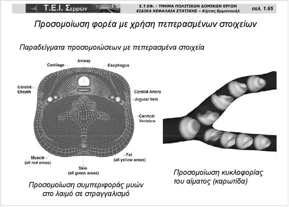 μυών στο λαιμό σε