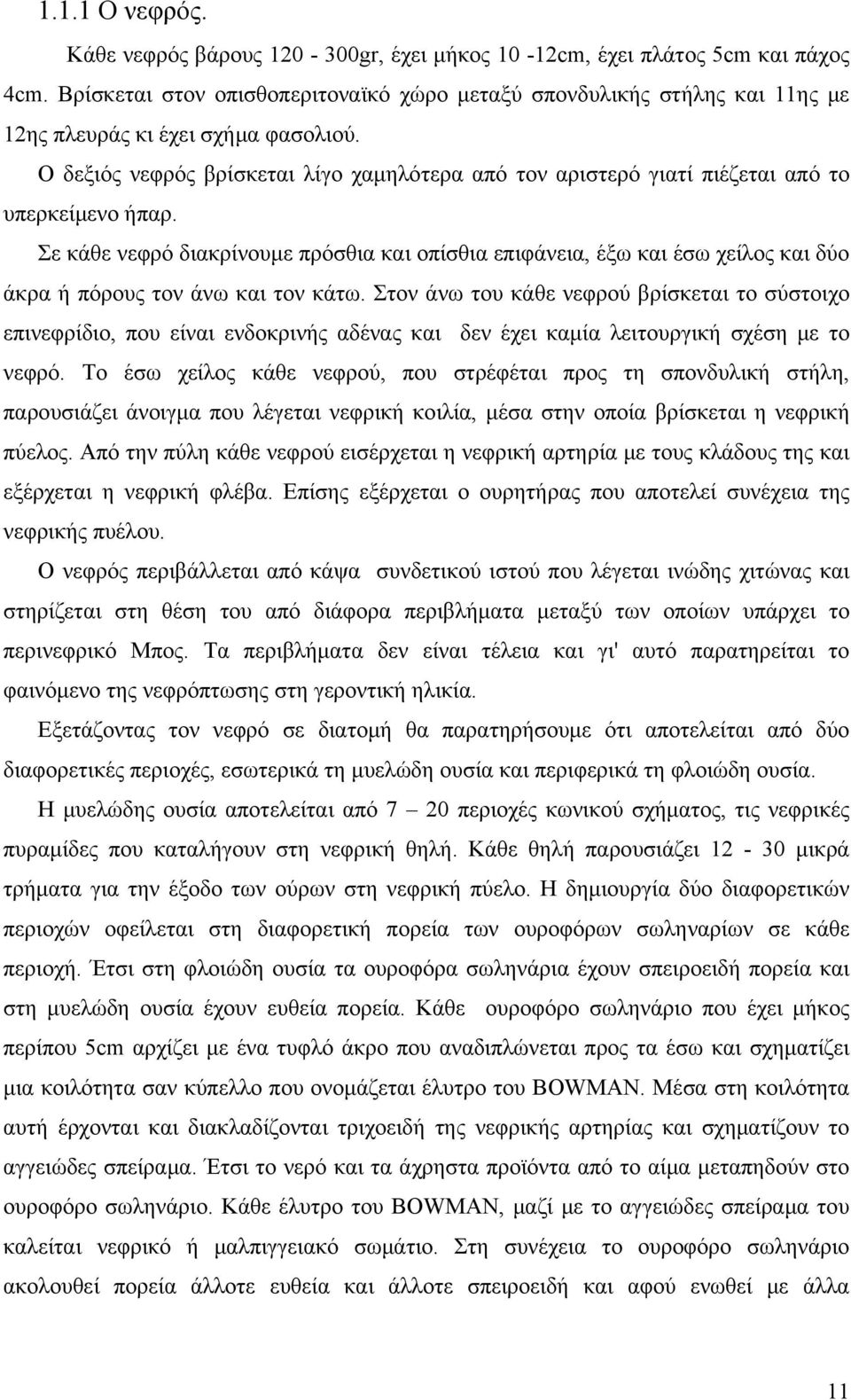 Ο δεξιός νεφρός βρίσκεται λίγο χαμηλότερα από τον αριστερό γιατί πιέζεται από το υπερκείμενο ήπαρ.