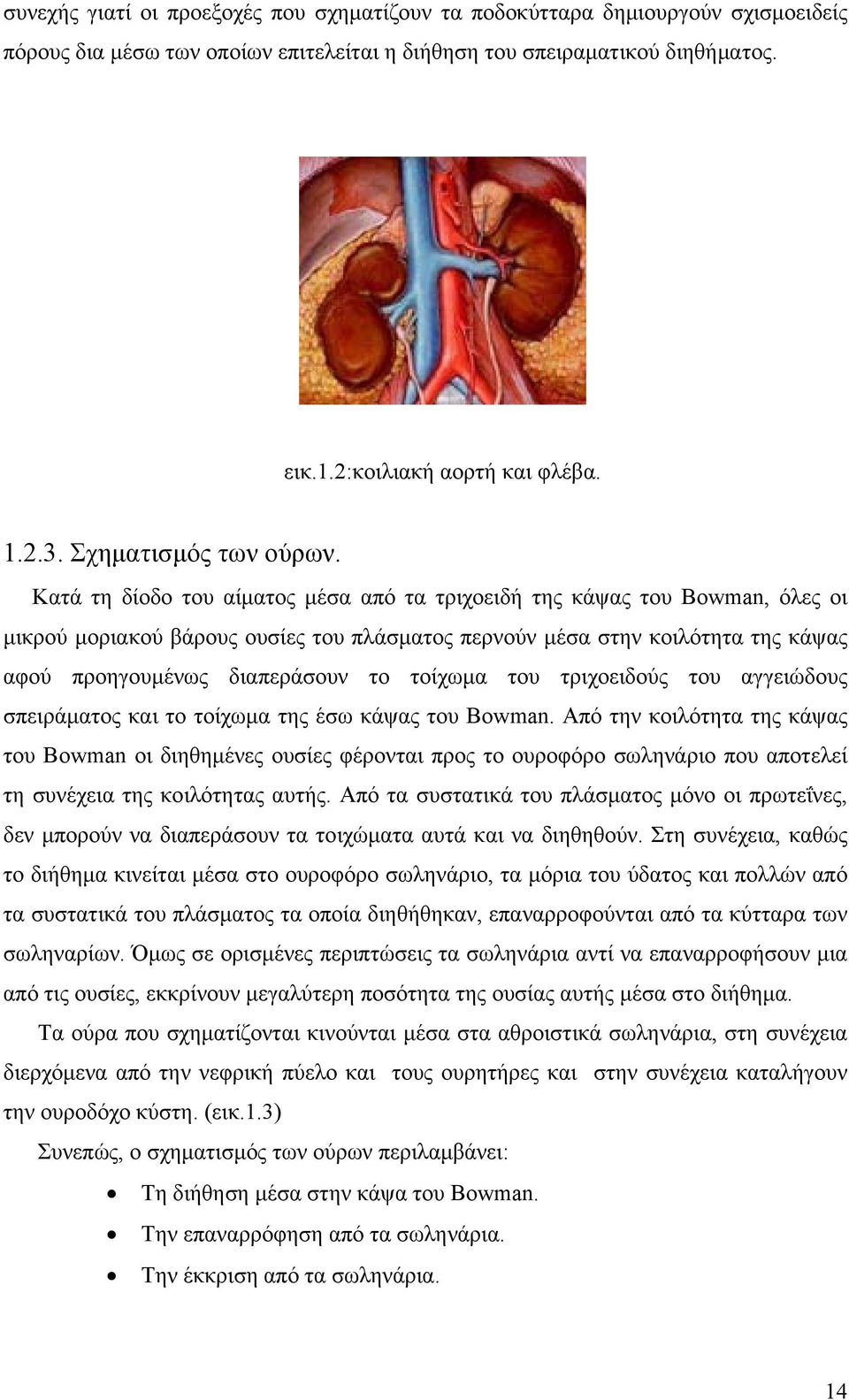 Κατά τη δίοδο του αίματος μέσα από τα τριχοειδή της κάψας του Bowman, όλες οι μικρού μοριακού βάρους ουσίες του πλάσματος περνούν μέσα στην κοιλότητα της κάψας αφού προηγουμένως διαπεράσουν το