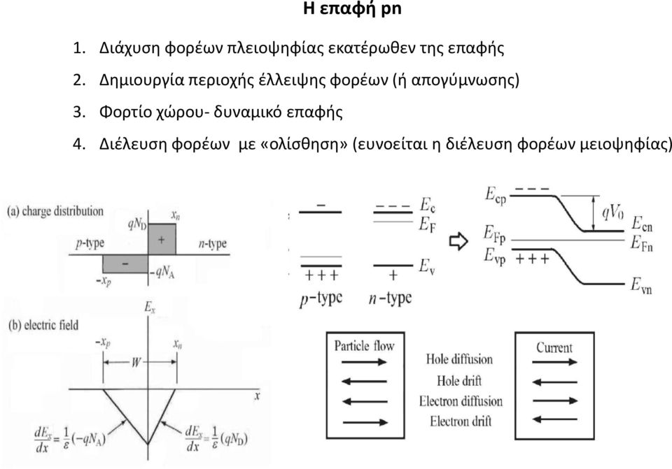 Δημιουργία περιοχής έλλειψης φορέων (ή απογύμνωσης) 3.