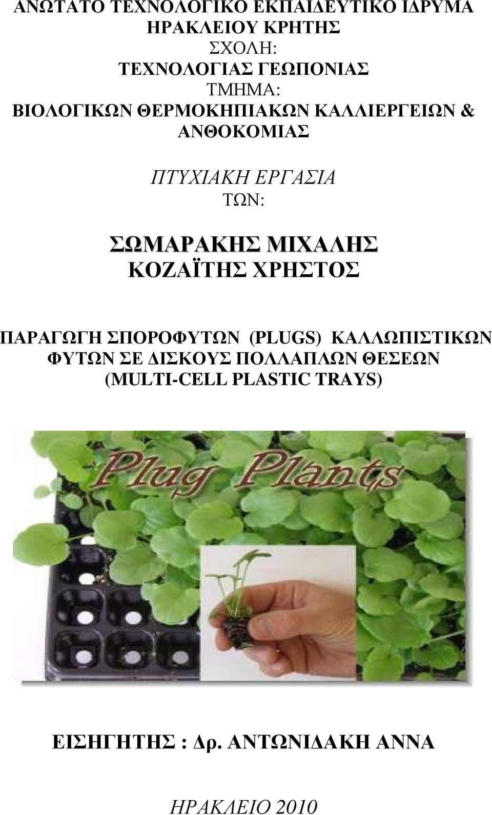 ΣΩΜΑΡΑΚΗΣ ΜΙΧΑΛΗΣ ΚΟΖΑΪΤΗΣ ΧΡΗΣΤΟΣ ΠΑΡΑΓΩΓΗ ΣΠΟΡΟΦΥΤΩΝ (PLUGS) ΚΑΛΛΩΠΙΣΤΙΚΩΝ ΦΥΤΩΝ ΣΕ